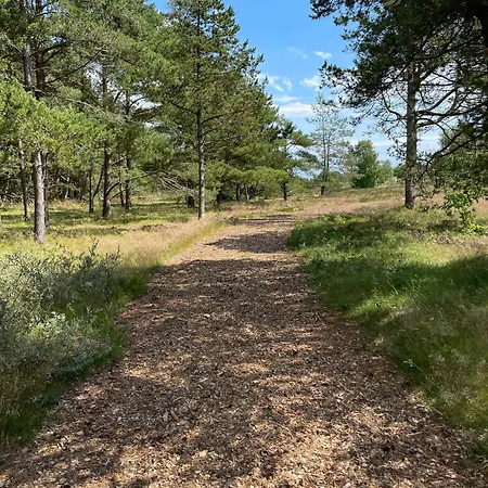 Seaside Vibe Colourful Harmonious By Nature * Ålbæk